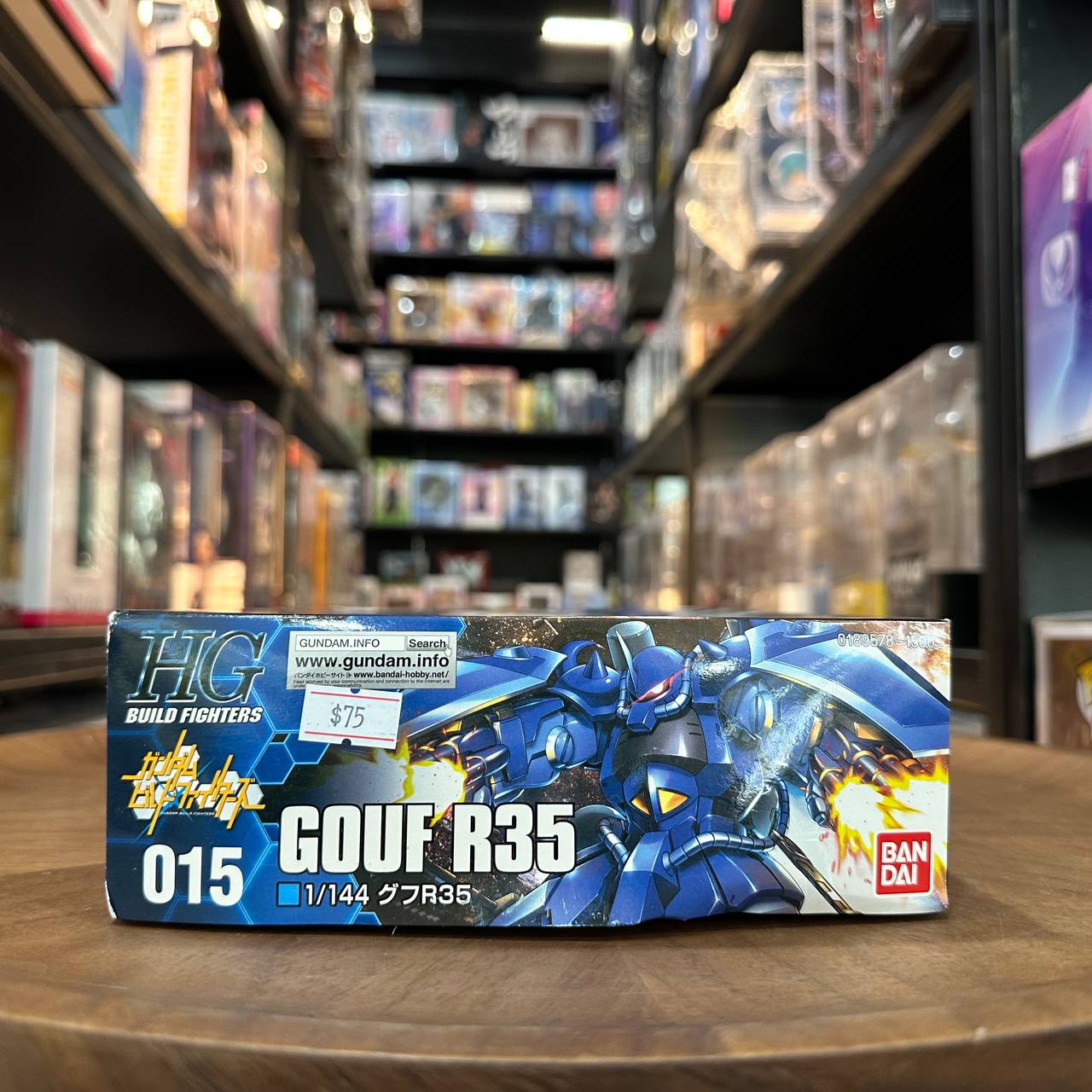 HG gundam Gouf R35